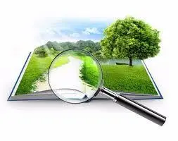 Оценка стоимости земли для залога