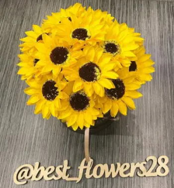 Best Flowers