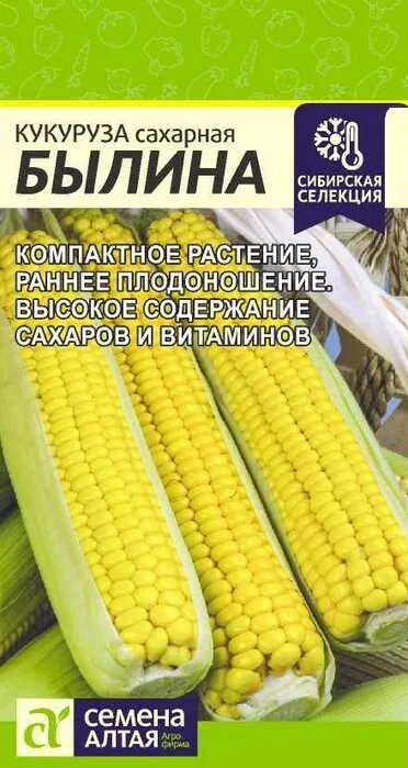 kukuruza_sorta_v_assortimente_sm_opisanie_gavrish