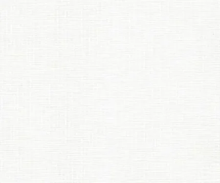Фото для Обои Vimala Сплэндит 3940 1,06х10м белый, виниловые на флизелиновой основе