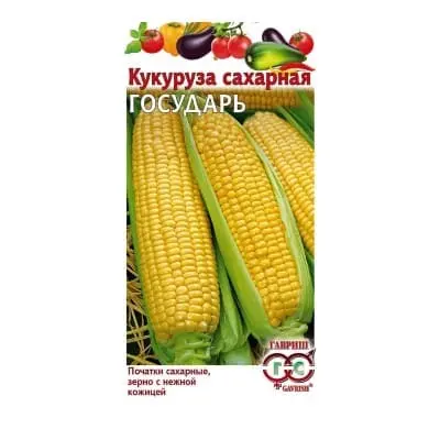f0622b3702a1982b58d91efa6030835a