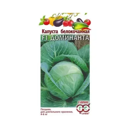 kapusta_belokochannaya_dominanta_f1_dlya_khraneniya_0_1g_gavrish
