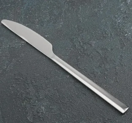Фото для Нож столовый «Хоккайдо», 23 см, 2789687