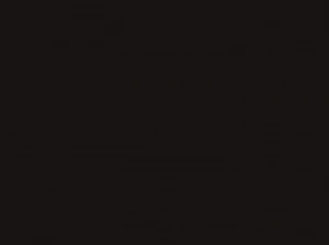 Фото для КАРТОН ЦВЕТНОЙ ПЛАКАТ 50*70 СМ 300 ГР/М2 "FOLIA" ЧЕРНЫЙ