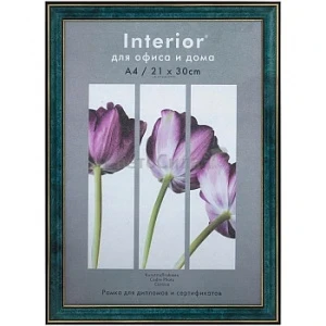 Фото для ФОТОРАМКА 21*30 ПЛАСТИК ВСТАВКА (СТЕКЛО/ПЛАСТИК) ФОТО ЛАЙТ (285Р, Малахит)