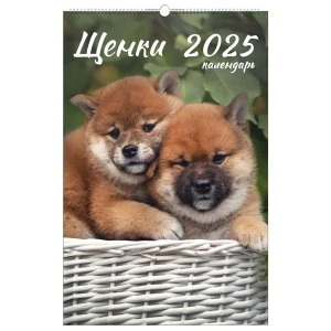 w0egtz69n8pgjbu3l00ht9xng79s4bmz