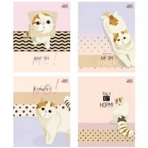 nhz1v3qrqjsukvzoy0luvm6ka1v4tqmv