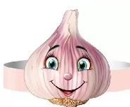 Фото для ОБОДОК ЧЕСНОК