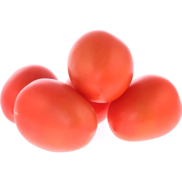 p4av27s5ffkt6o3exlr42mv3fj6dosl0