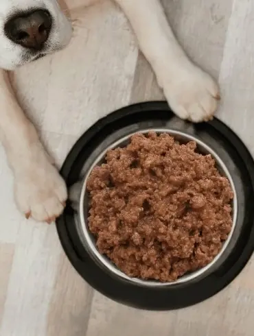 Зоогурман консервы для собак Виг Дог телятина с кроликом, 850 г