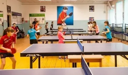 Занятия в секции настольного тенниса для детей от 7 до 12 лет.