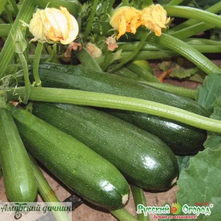 n3anklc40dbdemj613lgg8cx5qzge69a