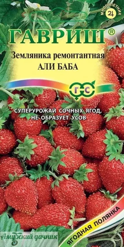 osa2ob48yff1zpyjf1x1kad0oehiupoi