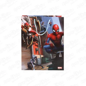 Пакет подарочный Человек-паук 26х32,4см