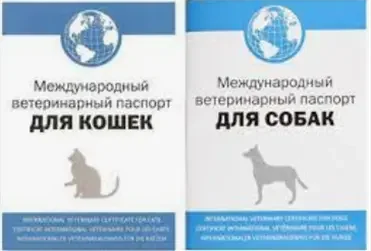 Ветеринарный паспорт для животных — это специальный документ, в котором содержится вся информация о вакцинации