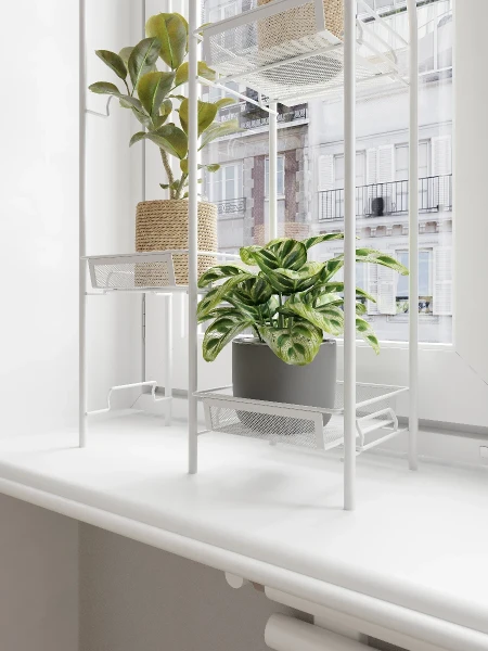 pda5qc5onhg751s90a52lrtrq9grqoqk