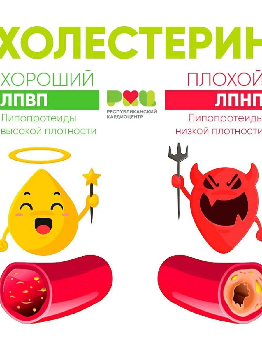 Анализ крови на холестерин ЛПВП и холестерин ЛПНП