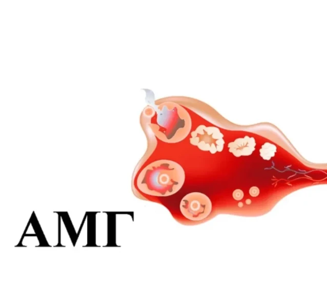 Фото для Анализ крови на антимюллеров гормон (АМГ)