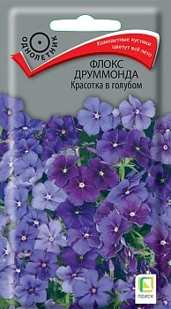 Флокс друммонда Красотка в голубом (ЦВ) ("1) 0,1гр.