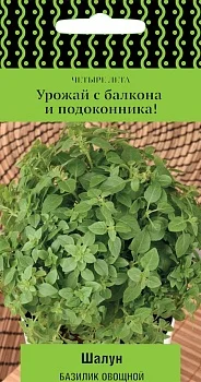 Базилик овощной Шалун(сер.Четыре лета) (А) (ЦВ) 0,1 гр