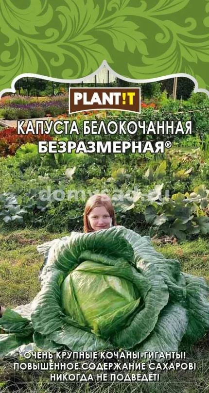 Фото для кап.белокочанная Безразмерная (PLANT!T) Ц