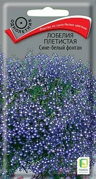 Фото для Лобелия плетистая Сине-белый фонтан (ЦВ) ("1) 0,1гр.