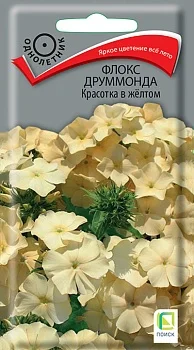 Флокс друммонда Красотка в жёлтом (ЦВ) ("1) 0,1гр.