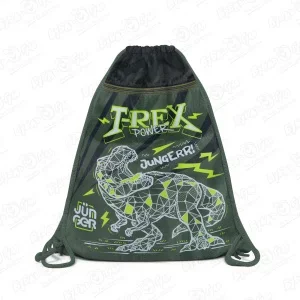 Фото для Мешок для обуви JUNGER T-rex с рисунком динозавр черно-зеленый