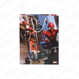 Фото для Пакет подарочный Человек-паук 26х32,4см