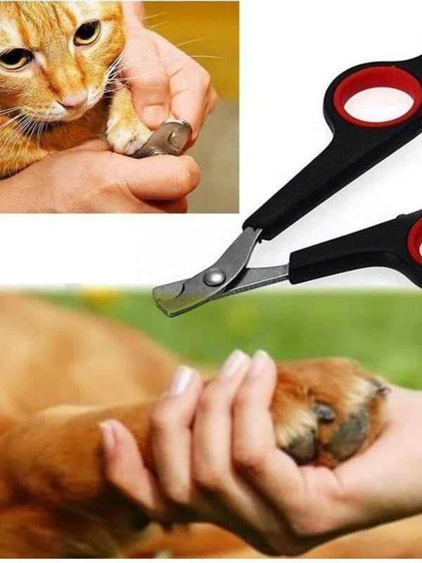 Стрижка когтей у собак и кошек