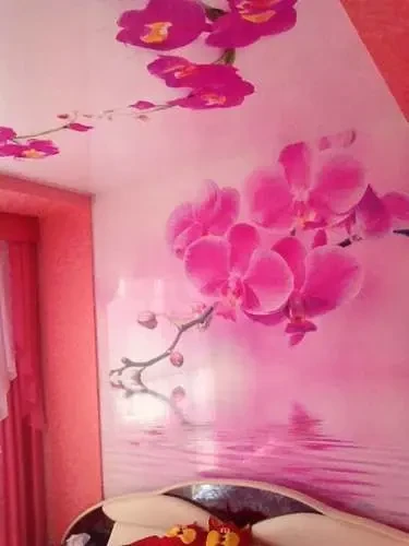 Фото для Монтаж натяжных стен с фотопечатью "Orchid"